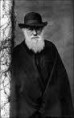 FAŞİST, IRKÇI, KOMÜNİST VE DİĞER HER TÜRLÜ ÇATIŞMACI İDEOLOJİNİN ORTAK ÇIKIŞ NOKTASI, İNSANLARI "ÇATIŞAN HAVYAN" OLARAK TARİF EDEN DARWIN'İN EVRİM TEORİSİDİR